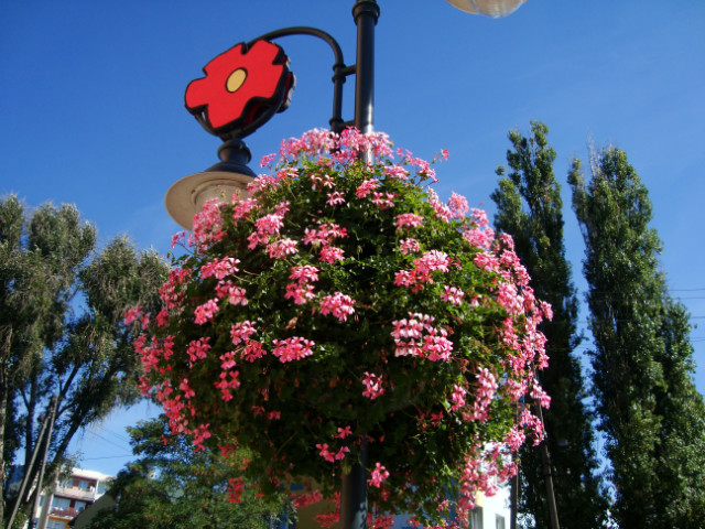 Skierniewice foto