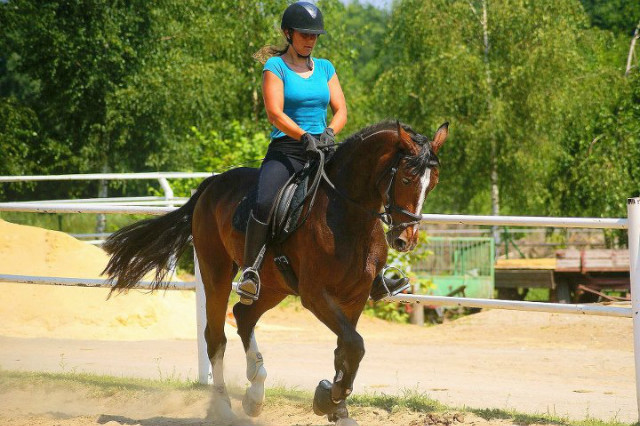 Wpis turbokucyk