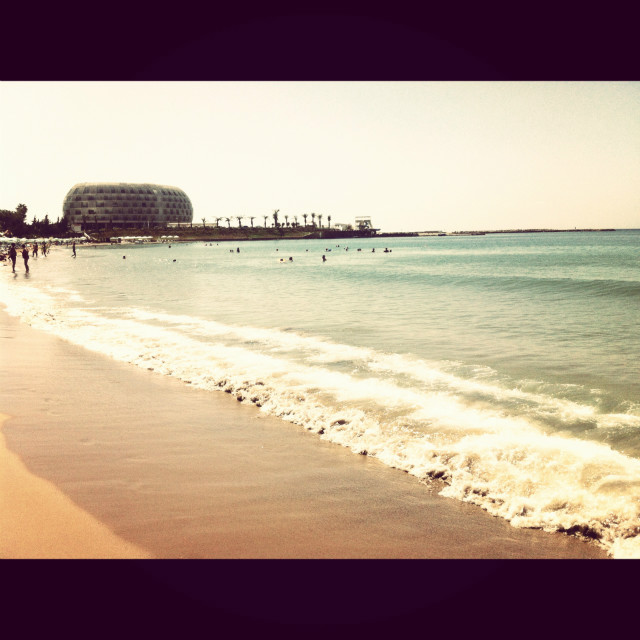 holiday 