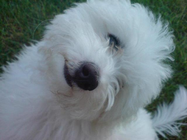 Mooje kochanie ;***