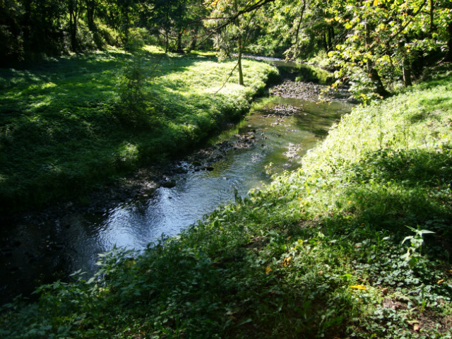 Park Skierniewice