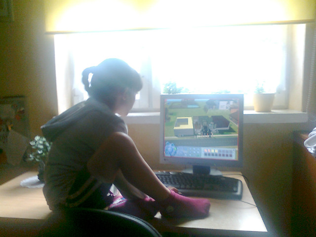 The sims 2