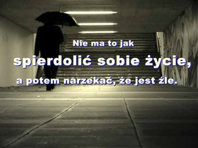 ; ) 