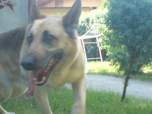 Nuka :*