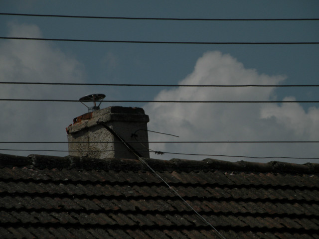 oczko