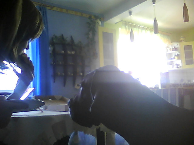 Wpis xgamoniuxtyxmojx