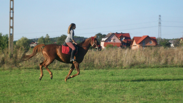 Galop .