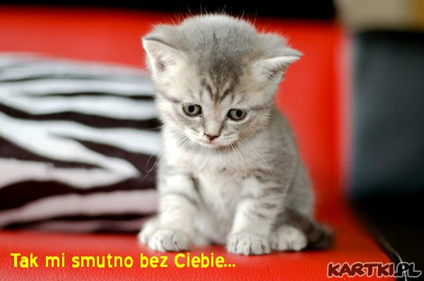 Wpis modoo1948
