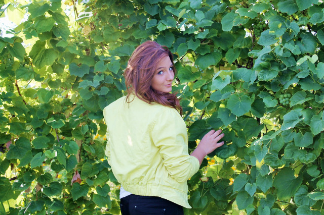 Blog