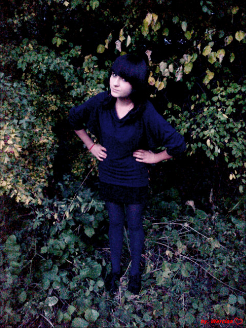 Wpis linkaax33