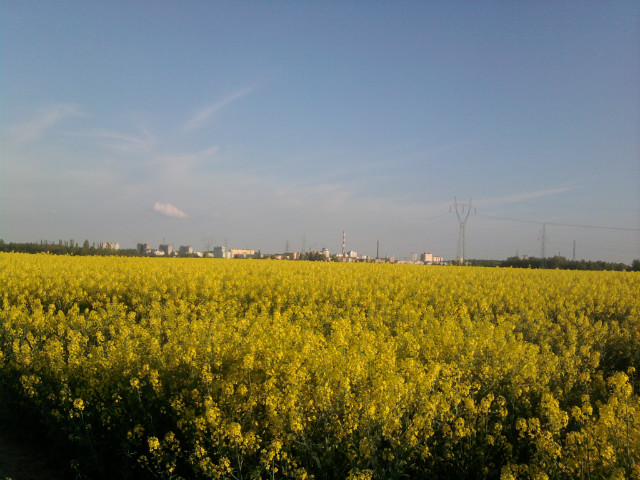 Lato!