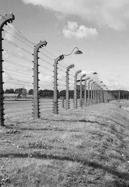 Auschwitz.
