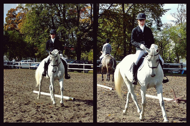 mpdl2012