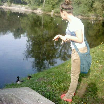 Wpis nibylandiaylotkox3