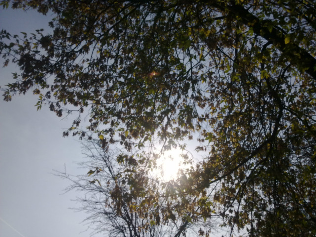 55.