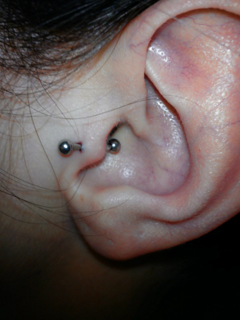 Tragus