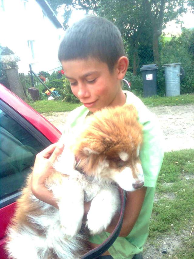 Pawe.