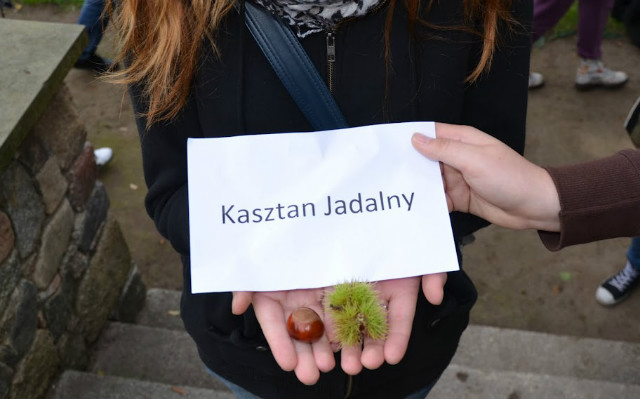 Andrzej i Katarzyna