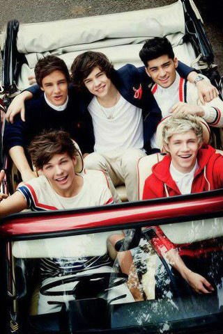 Wpis fiveboysonedirection