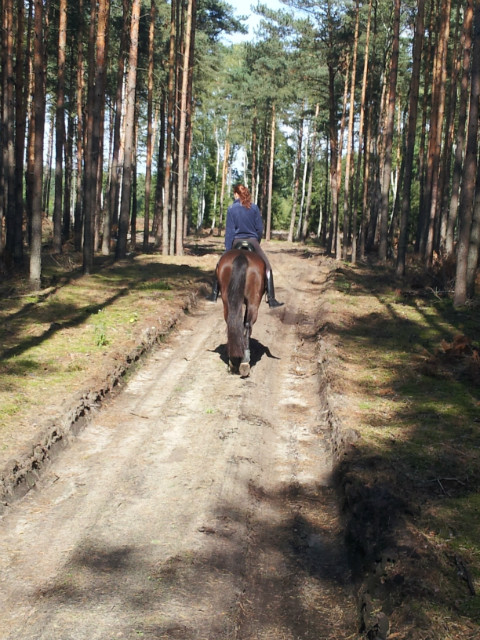 fall