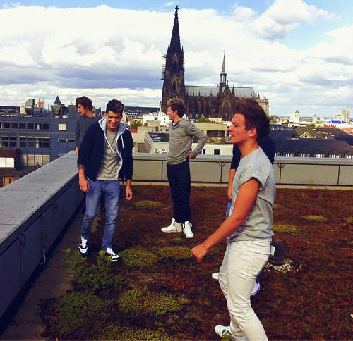Wpis fiveboysonedirection