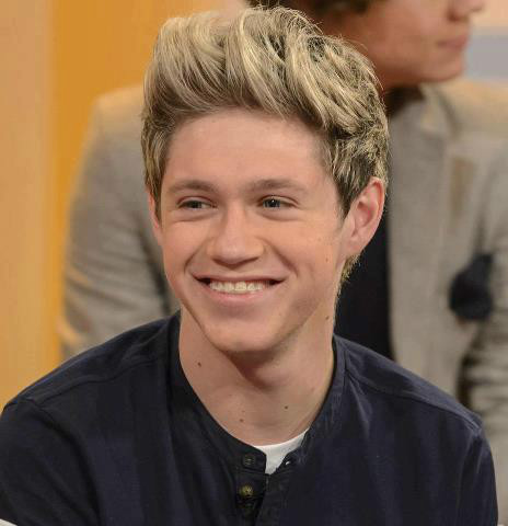 Wpis fiveboysonedirection