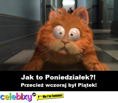 Weekendzie nie odchod.. :(