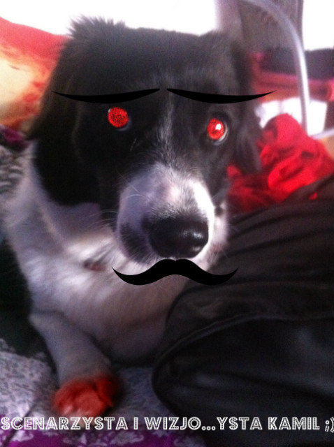 Piesiu 