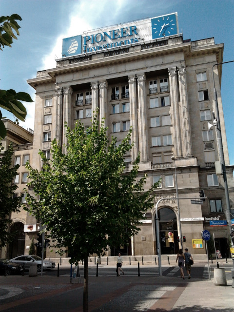 wizja.