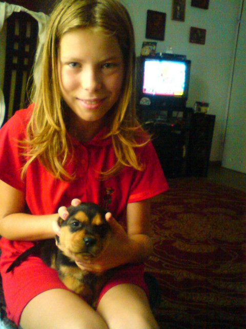 Wpis koochhammciiemmissiuu