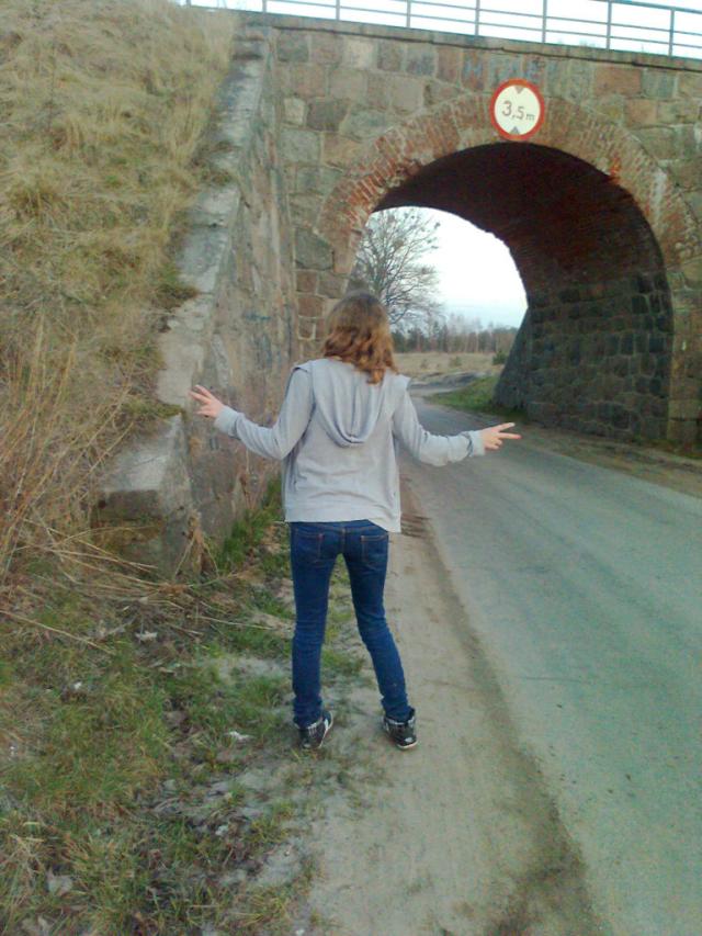 Wpis wiikax33