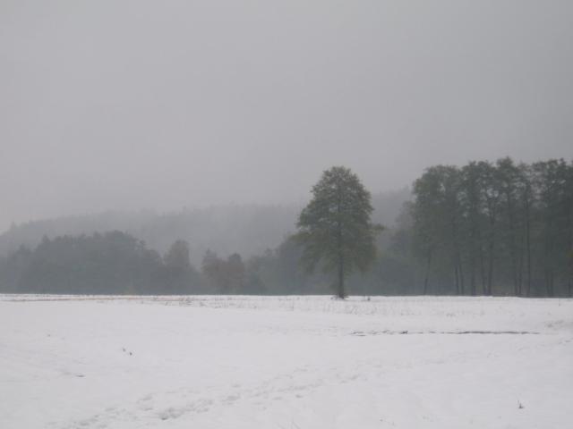 Jesienny nieg
