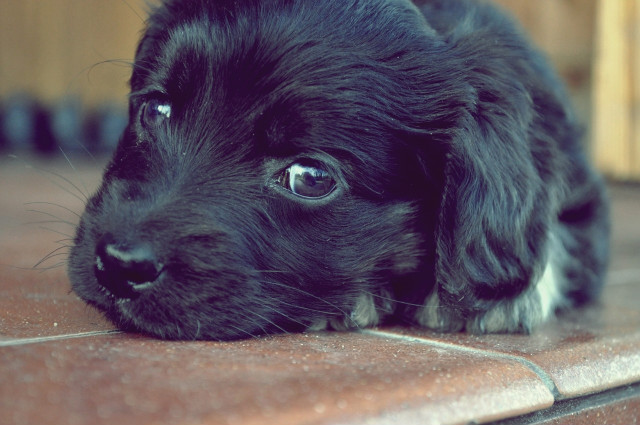 so sweet