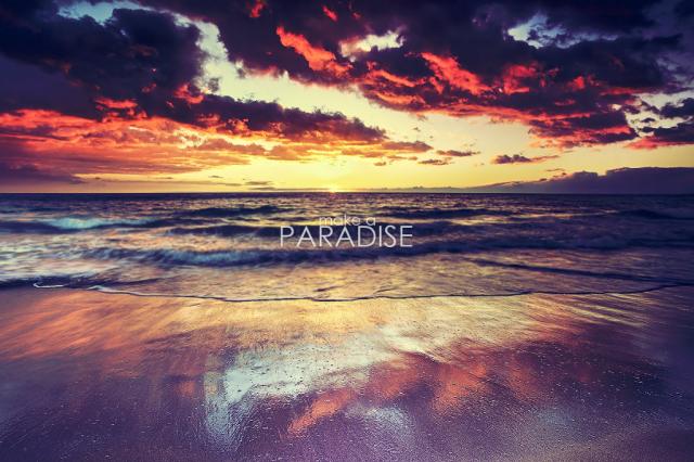 .paradise