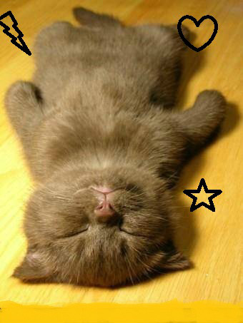 hehehe :*