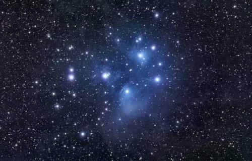 i think you think you're star.