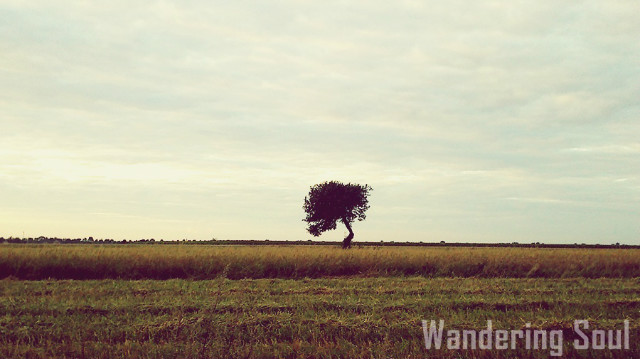 Wpis wanderingsoul