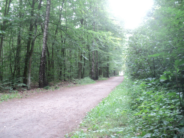 Wpis uciecdalekostad