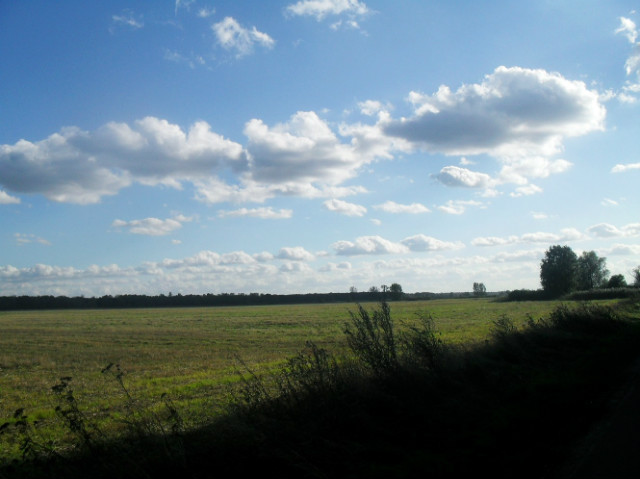 Wpis wiktorria