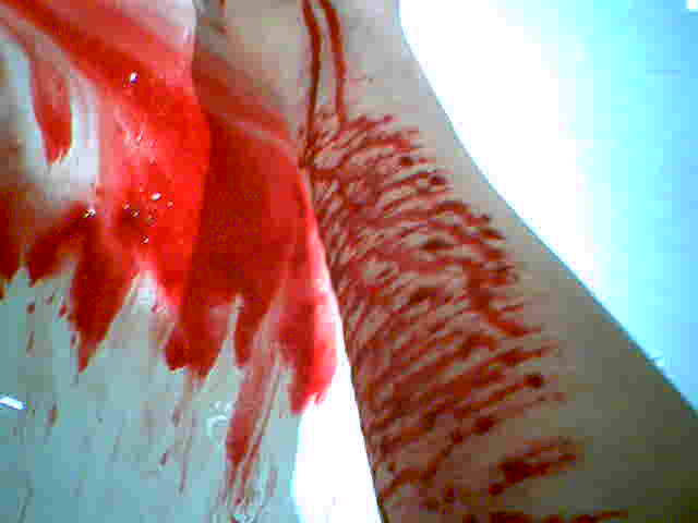 THE END