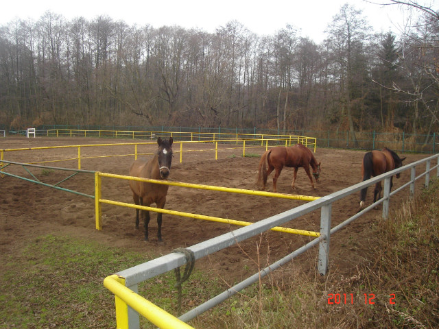 Natawa, Lir, 'Roki