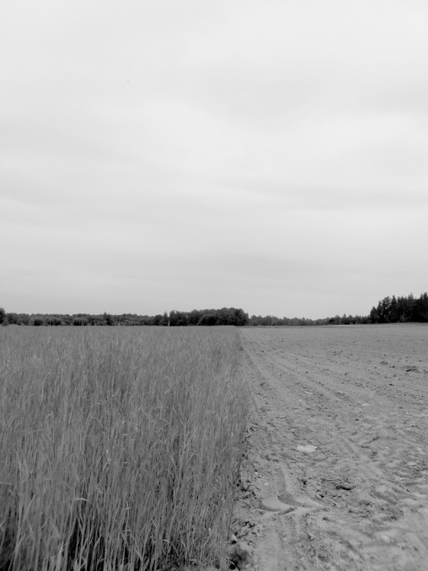 85