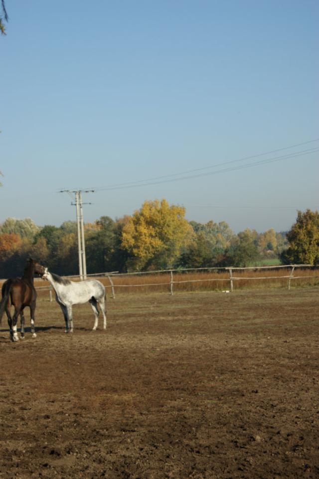 Akwen  i Nadir.