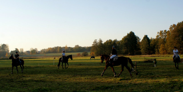 hubertus;D