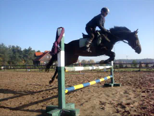 Wpis amandaankara97
