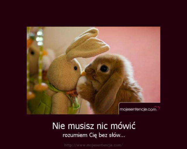 wam xD;**