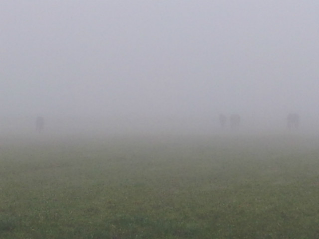 fog