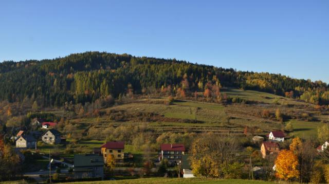 Nieledwia