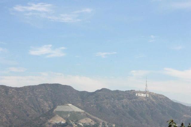 Hollwood