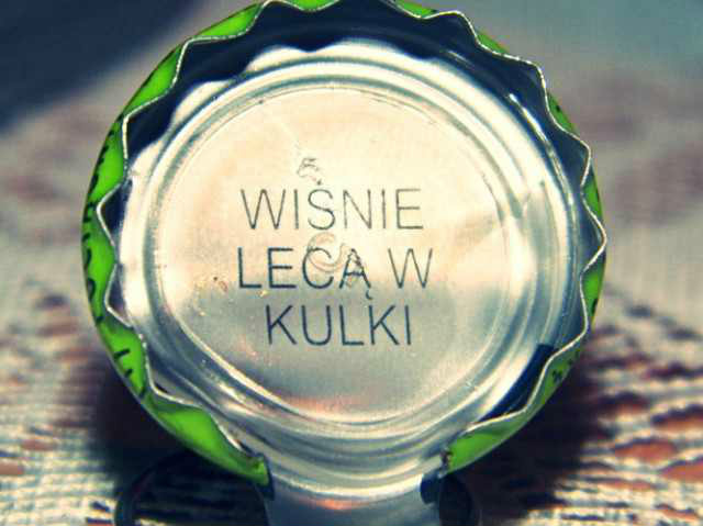 Wpis rudzik21